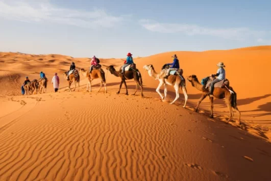 Tourists on a camel caravan trekking through the golden sand dunes of Merzouga during a 5 Days Tour From Marrakech To Fes, enjoying a magical desert adventure.