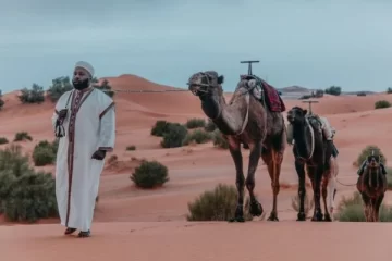 A Berber guide leading camels through the sandy dunes during a Camel Trek in Merzouga, Morocco, offering an authentic desert adventure.