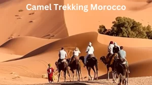 Travelers enjoying a Camel Trekking Sahara Tour in Merzouga, riding camels through the golden dunes of Erg Chebbi with a local Berber guide leading the way.