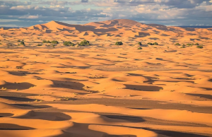 Golden sand dunes of Erg Chebbi in Morocco, a must-visit destination on the 8 Days Tour from Casablanca, offering breathtaking desert landscapes.