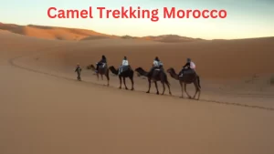 Travelers riding camels through the golden dunes during a Camel Trek in Merzouga, Morocco, experiencing the beauty of the Sahara Desert.